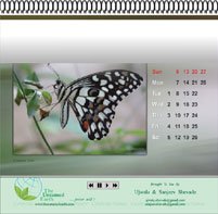 calendar